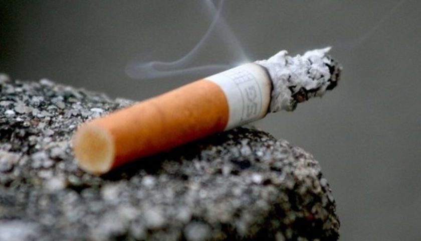 Бизнес идея